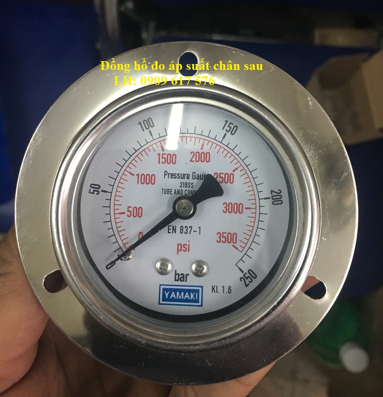 đồng hồ đo áp suất chân sau 0-250kg
